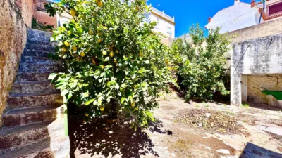 House on Huelva Street photo 147