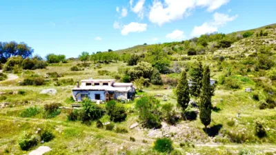 Rustic finca on Calle Corral del Álamo photo 3