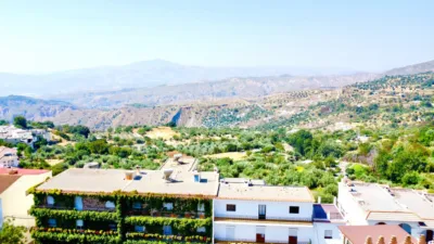 Apartment on Carretera Street photo 8