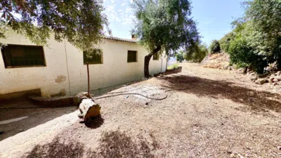 Chalet on Calle A4130 photo 100