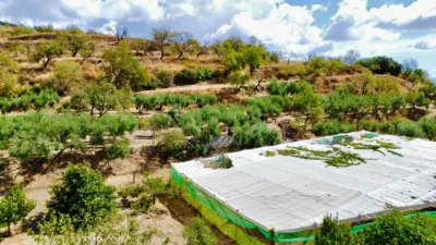 Rustic Farm on Carretera de Mairena photo 5