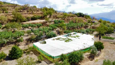 Rustic Farm on Carretera de Mairena photo 4