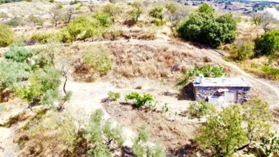 Rustic Farm on Carretera de Mairena photo 2
