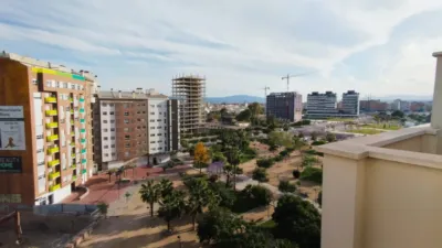 Apartment on Río Taibilla Street photo 23