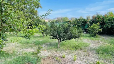 Chalet in Carril de los Silvestres photo 17
