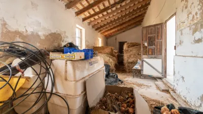 Rustic Finca on Carretera Cv50, No. S/N photo 63