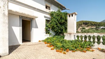 Rustic Finca on Carretera Cv50, No. S/N photo 41