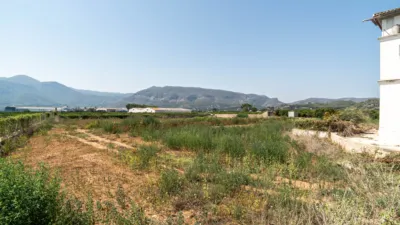 Rustic Finca on Carretera Cv50, No. S/N photo 75