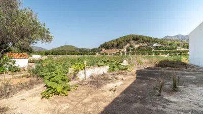 Rustic Finca on Carretera Cv50, No. S/N photo 66