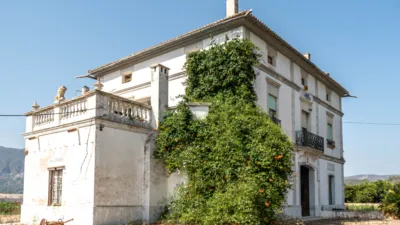 Rustic Finca on Carretera Cv50, No. S/N photo 67
