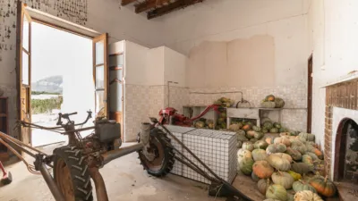 Rustic Finca on Carretera Cv50, No. S/N photo 71