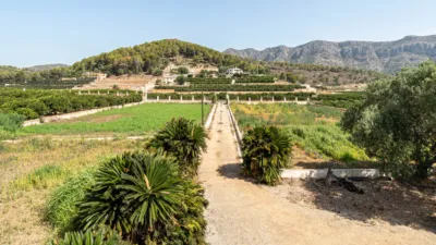 Rustic Finca on Carretera Cv50, No. S/N photo 74