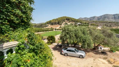Rustic Finca on Carretera Cv50, No. S/N photo 43