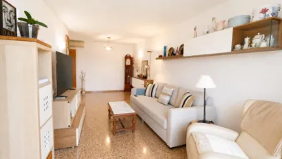 Apartment in Santa Ponsa photo 5