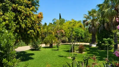 Single-family home in Binissalem photo 33