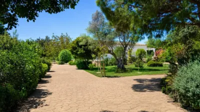 Single-family home in Binissalem photo 36