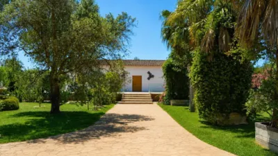 Single-family home in Binissalem photo 35