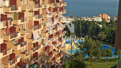 Estudio en alquiler en Avenida del Gamonal, Parque de la Paloma (Distrito Benalmádena Costa. Benalmádena) de 130 €