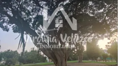 Estudio en alquiler en Avenida del Gamonal, Parque de la Paloma (Distrito Benalmádena Costa. Benalmádena) de 130 €