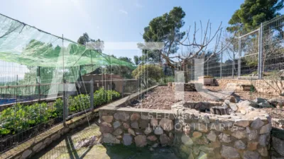 House on Carrer de les Vinyes photo 167
