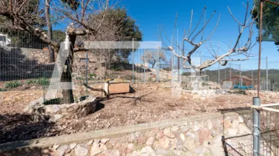 House on Carrer de les Vinyes photo 169