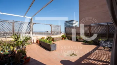 Duplex Penthouse on Carrer del Marquès de Comillas photo 4