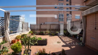 Duplex Penthouse on Carrer del Marquès de Comillas photo 5