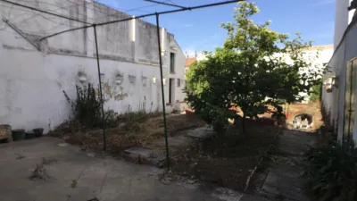 House in Bornos photo 15