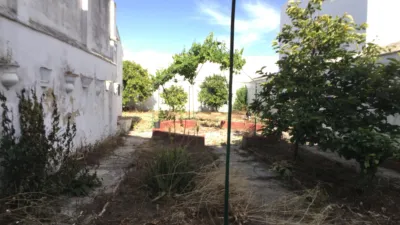 House in Bornos photo 16