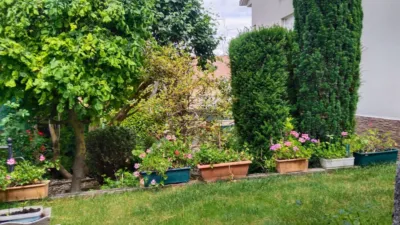 Single-family home on Calle de San Isidro photo 8