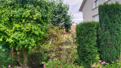Single-family home on Calle de San Isidro photo 6