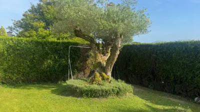 Casa en venta en Camino de Agerre, 5, Aiete-Miramon (San Sebastián - Donostia) de 2.175.000 €