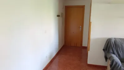 Apartment on Poeta Manuel Benitez Carrasco Street photo 9