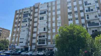 Apartment on Poeta Manuel Benitez Carrasco Street photo 5