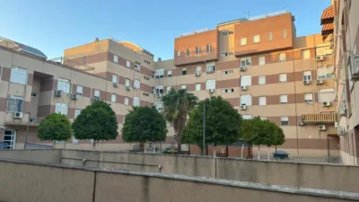 Apartment on Moriles Street photo 5