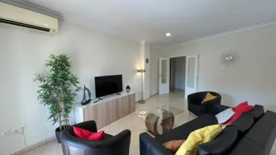 Apartment on Avenida Quinto Centenario photo 5