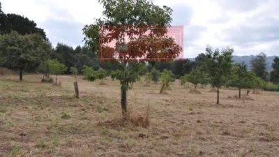 House in Ligonde (Resto Parroquia) photo 15