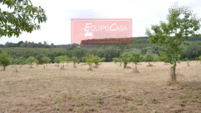 House in Ligonde (Resto Parroquia) photo 13