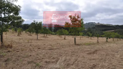 House in Ligonde (Resto Parroquia) photo 16