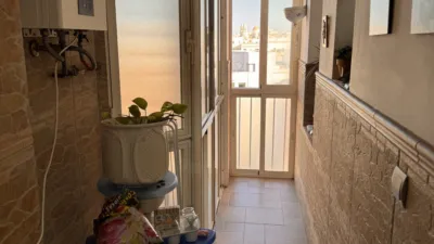 Apartment in La Caleta-La Viña photo 3