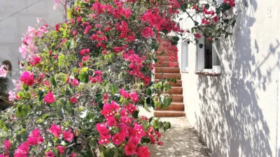 Casa en alquiler en Carrer de la Puríssima - Imagen 2