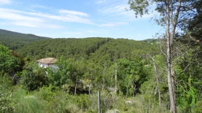 Land for sale in La Llacuna, La Llacuna of 49.000 €