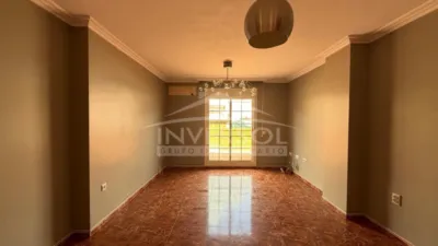 Penthouse on Doctor Castro Street photo 8