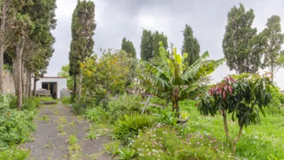 Chalet en venta en Calle de Camino de la Mina, 10, Barranco El Pato (Tacoronte) de 480.000 €