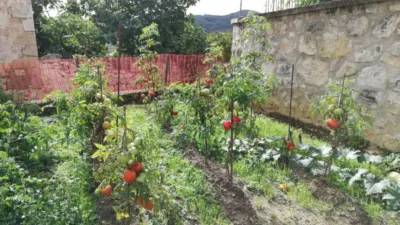 House in Moraza photo 3