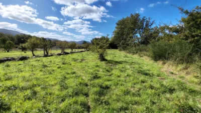 Terreno en venta en Calle Lugar de Frean - Vista 3