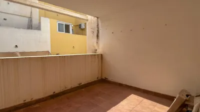 House on Calle de la Flauta photo 20