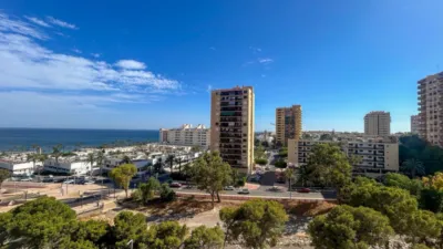 Apartment in Plaza de la Torre Bahía photo 3