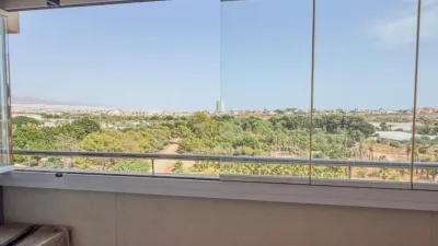 Penthouse on Algarrobo Street photo 12