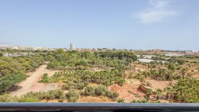 Penthouse on Algarrobo Street photo 11